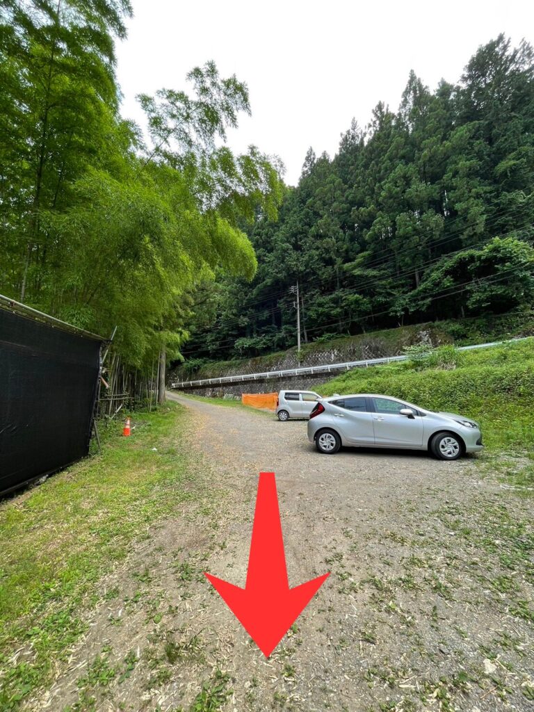 画像に alt 属性が指定されていません。ファイル名: %E5%90%8D%E7%A7%B0%E6%9C%AA%E8%A8%AD%E5%AE%9A%E3%81%AE%E3%83%87%E3%82%B6%E3%82%A4%E3%83%B3-768x1024.jpg